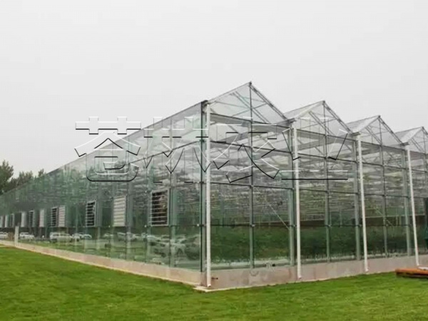 連棟溫室19