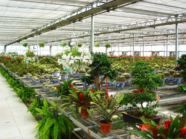 生態(tài)園溫室 (11)