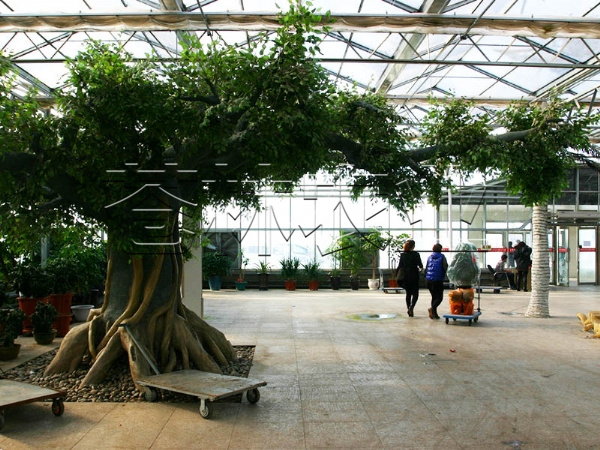 生態(tài)園溫室