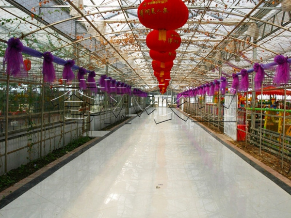 生態(tài)園溫室