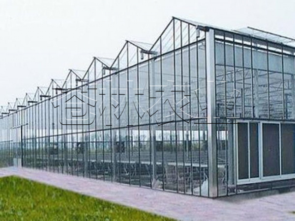 pc日光板溫室 (5)