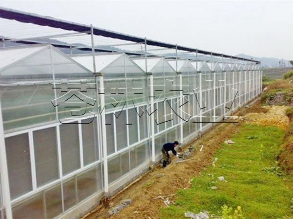 pc日光板溫室 (4)