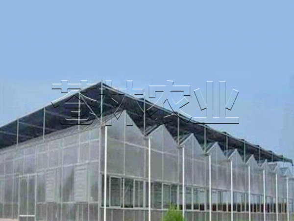pc日光板溫室 (3)