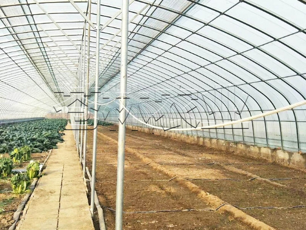 春秋拱棚、保溫拱棚溫室