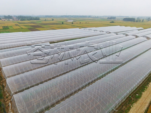 春秋拱棚、保溫拱棚溫室
