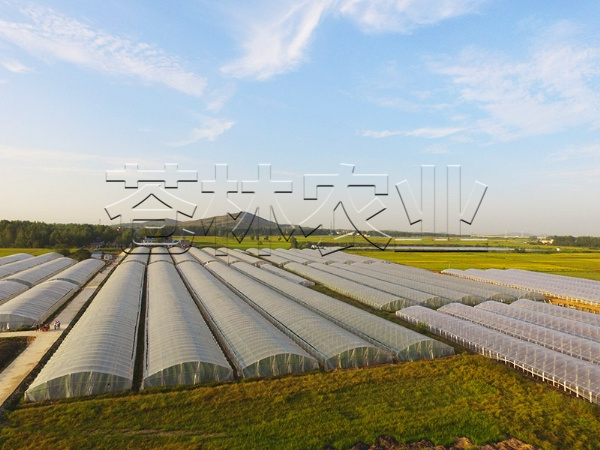 春秋拱棚、保溫拱棚溫室