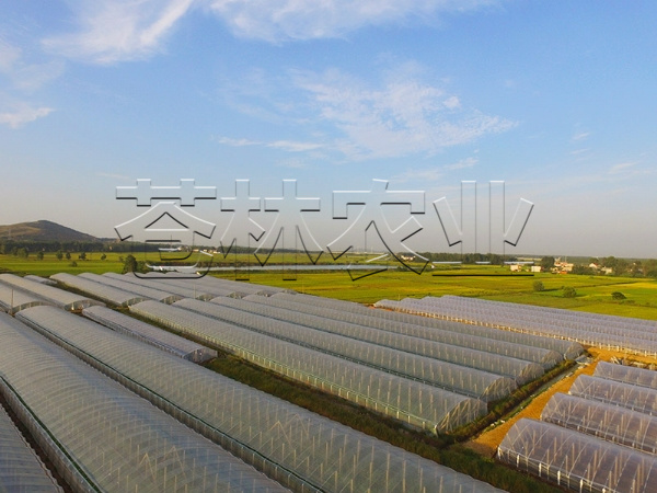 春秋拱棚、保溫拱棚溫室 (1)