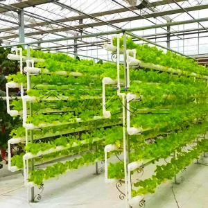 <img src=upfile/images/2019/08/22/small4_15664393569607207.jpg >