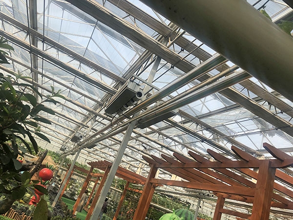 無(wú)土栽培 (13)