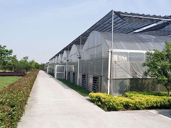 連棟薄膜溫室 (12)
