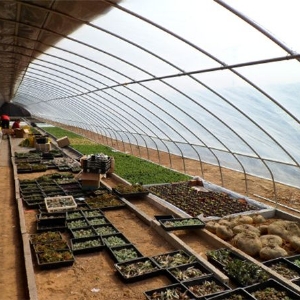 <img src=upfile/images/2021/05/27/small4_16220770968816603.jpg >