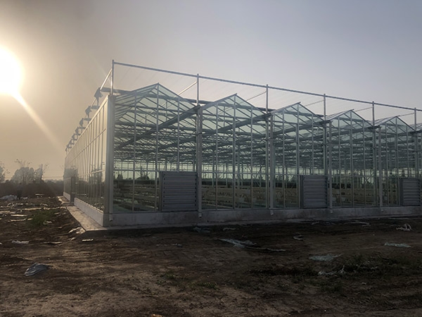 微信圖片_20230711094146