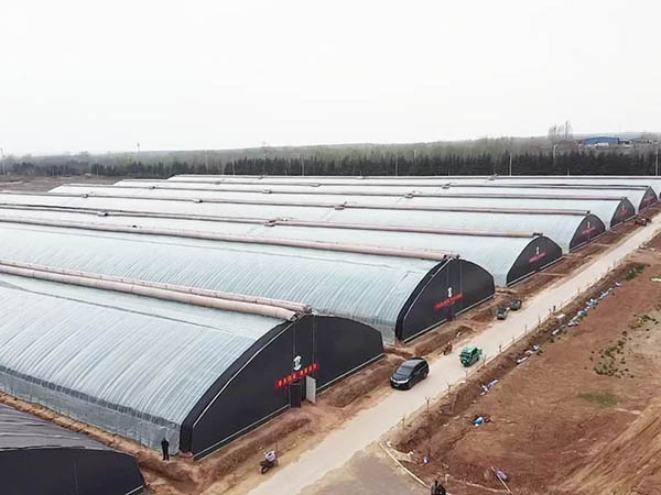 微信圖片_20190806100046