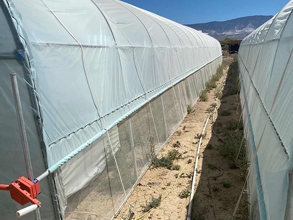 微信圖片_20190806100046