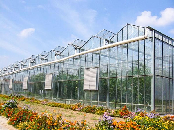 連棟溫室