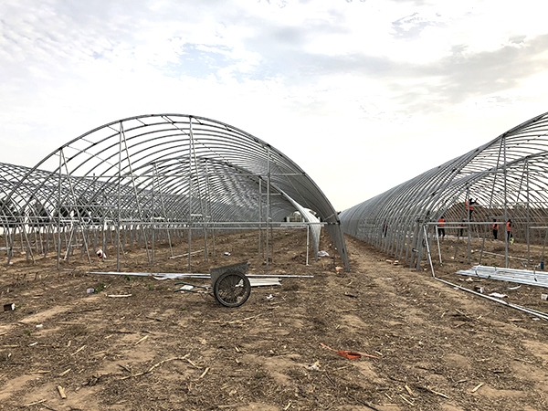 拱形溫室